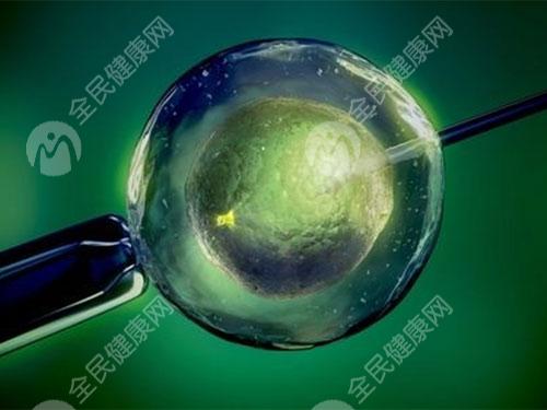 泰国试管婴儿技术如何？治疗流程有哪些？