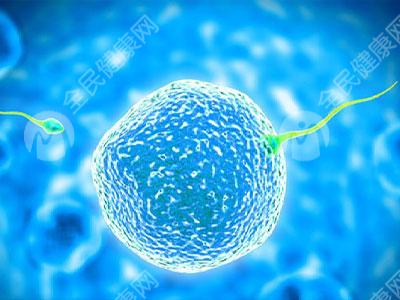什么是试管胚胎着床位置？试管胚胎着床位置低的原因有哪些？