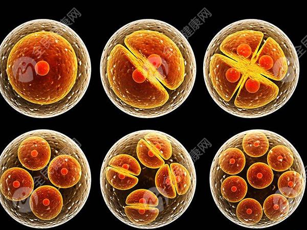 老公精子畸形率高、活力低是导致生化妊娠的原因吗？