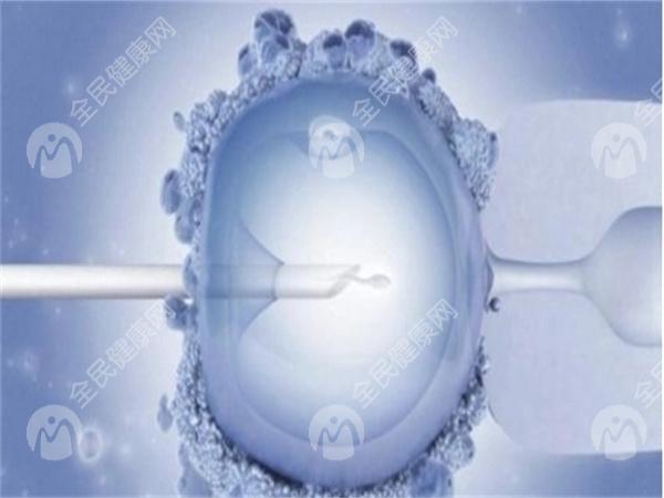 为什么试管婴儿胚胎植入总是失败？胚胎植入失败的原因是什么？