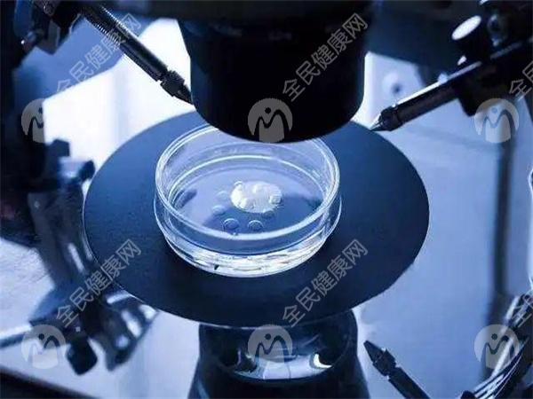 试管婴儿胚胎培养成功率高吗？体外受精胚胎培养的全过程公布！