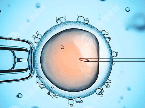 合肥做试管婴儿胚胎移植手术多少钱一次？有哪些流程步骤？