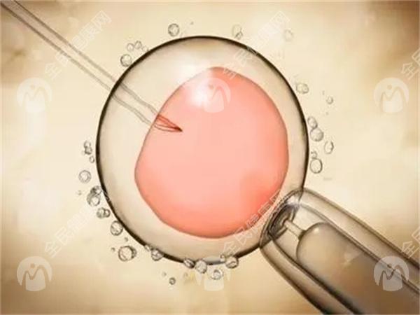 绍兴做试管婴儿胚胎移植手术多少钱一次？如何节省费用？