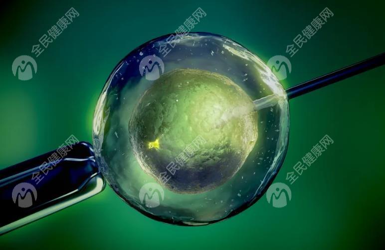 胚胎移植后注意这3方面，可有效提高成功率