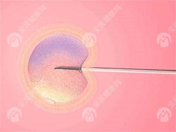 2024年在潍坊本地医院做试管婴儿成功率能达到60%吗？