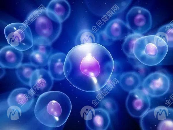 2024厦门做试管婴儿费用多少钱？分享费用参考！