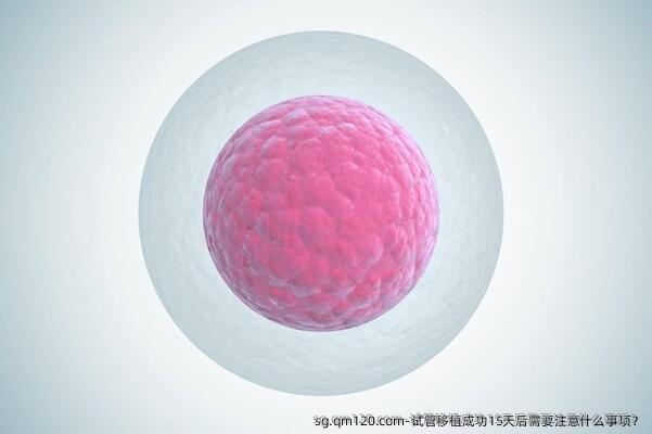 试管移植成功15天后需要注意什么事项？