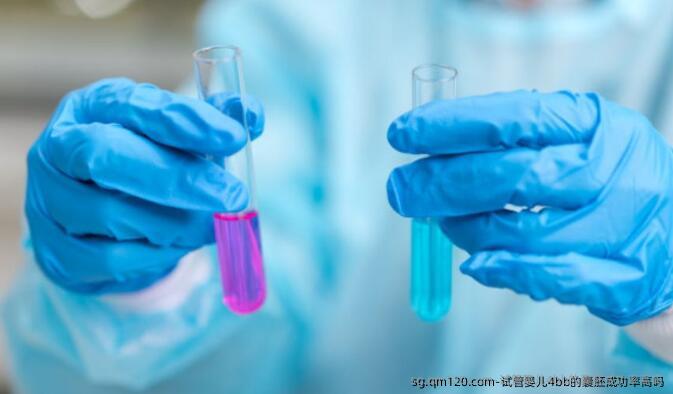 试管婴儿4bb的囊胚成功率高吗