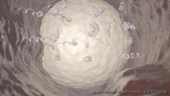 乳腺BI一RADS三级可不可以试管