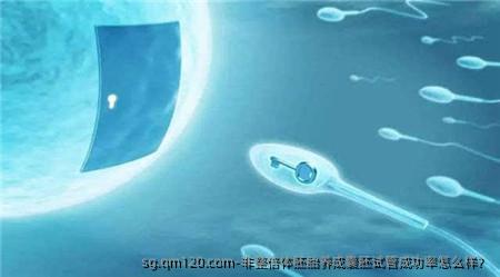 非整倍体胚胎养成囊胚试管成功率怎么样？