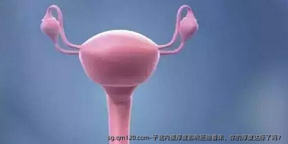 子宫内膜厚度影响胚胎着床，你的厚度达标了吗？