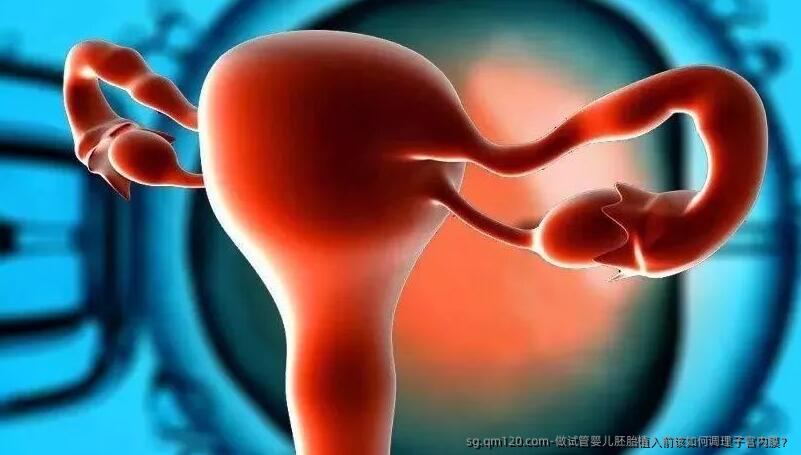 做试管婴儿胚胎植入前该如何调理子宫内膜？