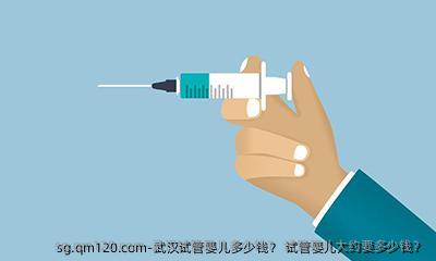 武汉试管婴儿多少钱？ 试管婴儿大约要多少钱？