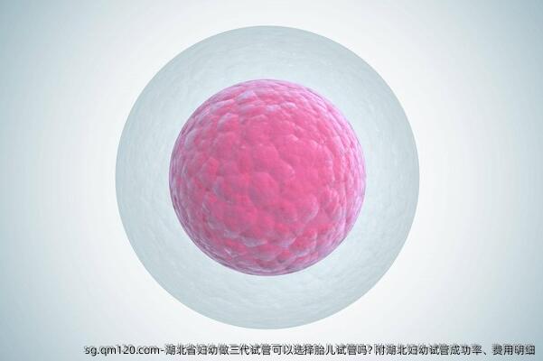 湖北省妇幼做三代试管可以选择胎儿试管吗? 附湖北妇幼试管成功率、费用明细