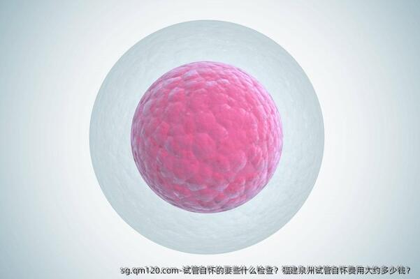 试管自怀的要些什么检查？福建泉州试管自怀费用大约多少钱？