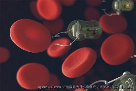 试管婴儿为什么囊胚成功率更高？成功才是精品