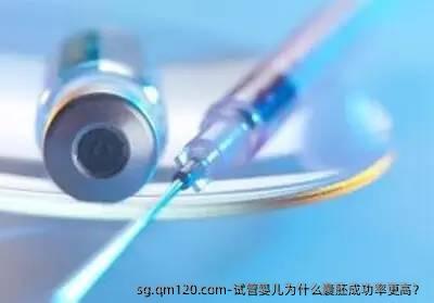 试管婴儿为什么囊胚成功率更高？