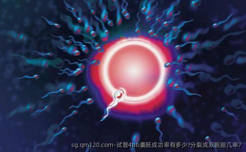 试管4bb囊胚成功率有多少?分裂成双胞胎几率?